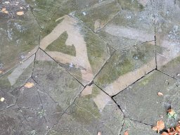 Kriegsgräberpflege 2025